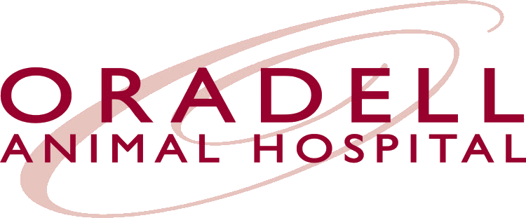 oradell-logo